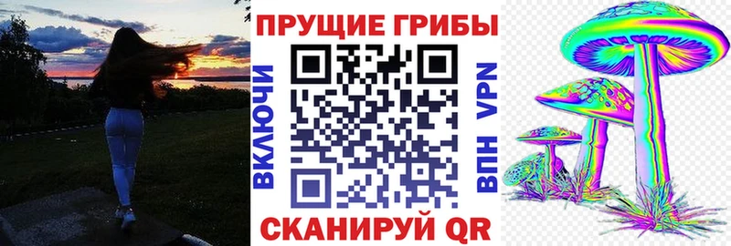 где купить наркоту  Поворино  Галлюциногенные грибы ЛСД 